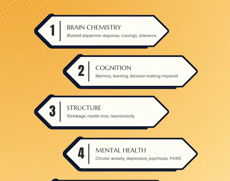 How Do Drugs Affect the Chemistry of Your Brain?